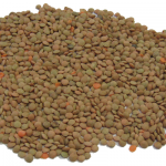red-lentils-aldinga