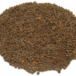 red-lentils-nipper